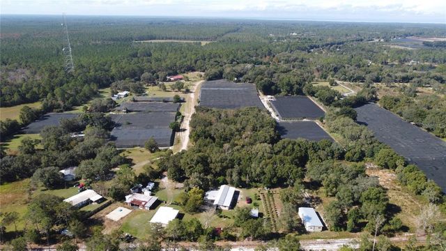 190 DICKIE LANE, Pierson, FL 32180