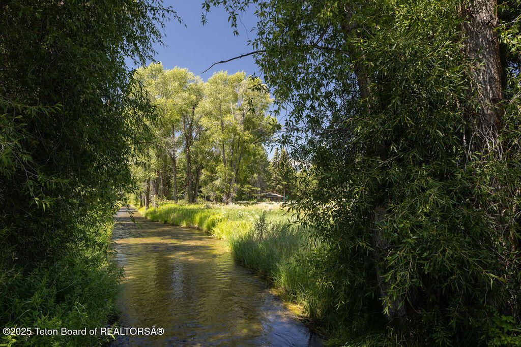 255/225 HUCKLEBERRY Drive, Jackson, WY 83001 photo 4