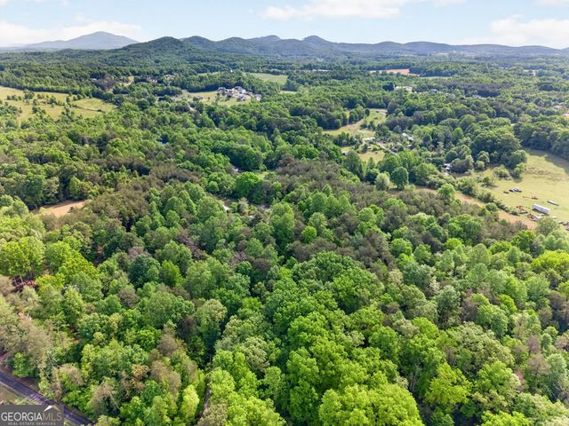 195 Phillips Drive, Cleveland, GA 30528