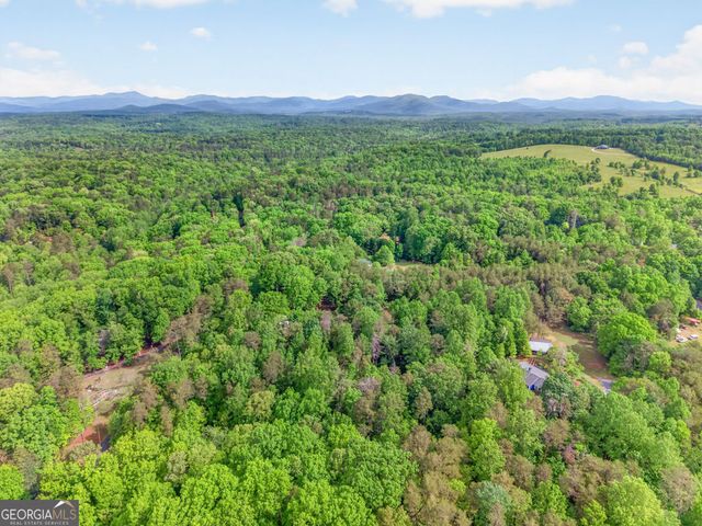 195 Phillips Drive, Cleveland, GA 30528