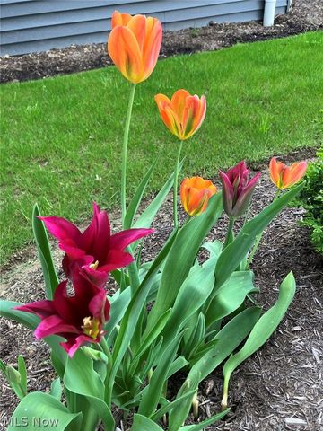 2080 Hawthorn Court, Green, OH 44720