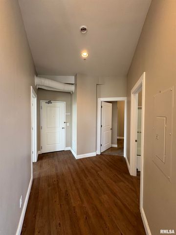 730 Main St Apt 203, Peoria, IL 61602