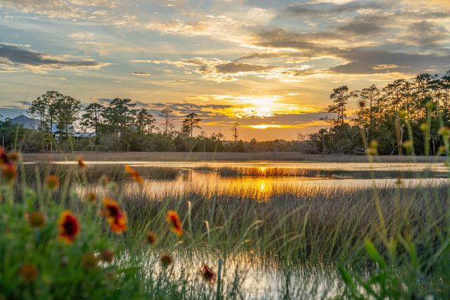 1149 Ship Builder Street, Daniel Island, SC 29492