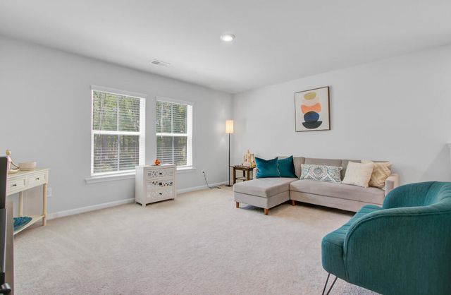 86 Red Bluff Street, Summerville, SC 29483