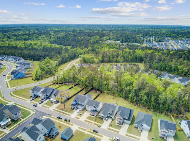 86 Red Bluff Street, Summerville, SC 29483