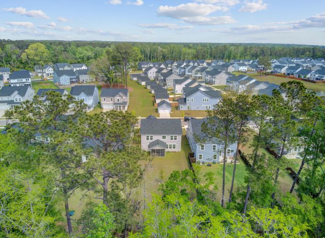 86 Red Bluff Street, Summerville, SC 29483