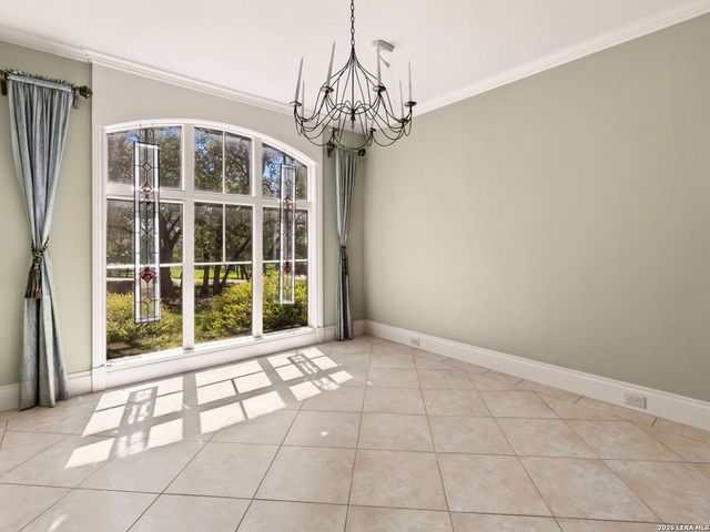 557 Apex Avenue, New Braunfels, TX 78132