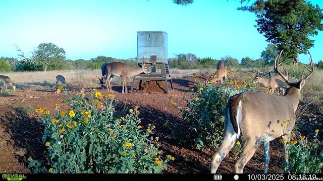647 Funf Kinder Rd, Fredericksburg, TX 78624