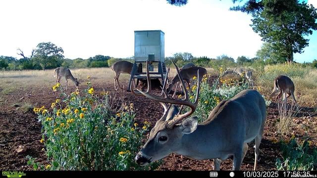 647 Funf Kinder Rd, Fredericksburg, TX 78624