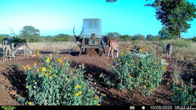 647 Funf Kinder Rd, Fredericksburg, TX 78624