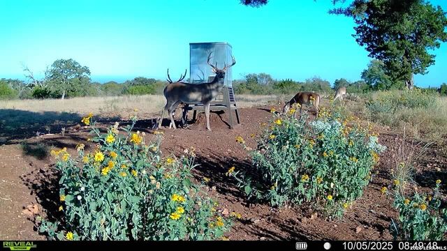 647 Funf Kinder Rd, Fredericksburg, TX 78624