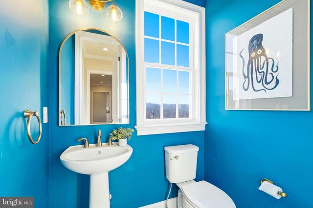 16217 WATERFORD CREST PL, Paeonian Springs, VA 20129