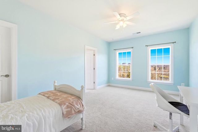 16217 WATERFORD CREST PL, Paeonian Springs, VA 20129