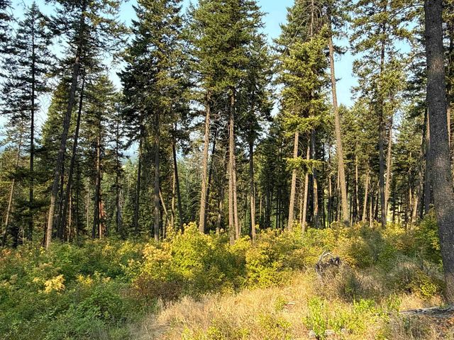 NKA Berry Rd, Usk, WA 99180