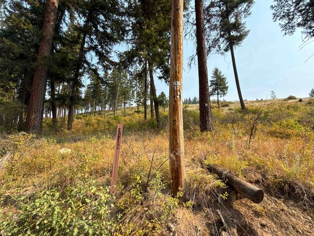 NKA Berry Rd, Usk, WA 99180