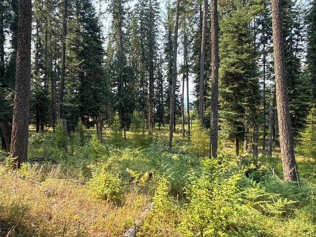 NKA Berry Rd, Usk, WA 99180