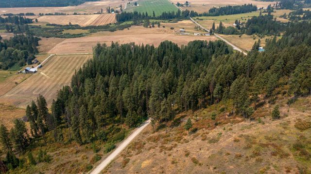 NKA Berry Rd, Usk, WA 99180