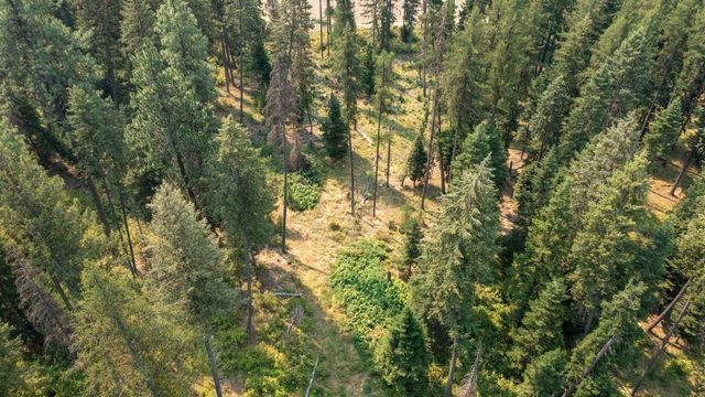 NKA Berry Rd, Usk, WA 99180