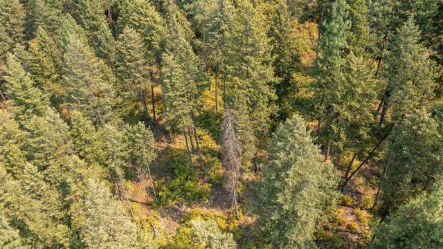 NKA Berry Rd, Usk, WA 99180
