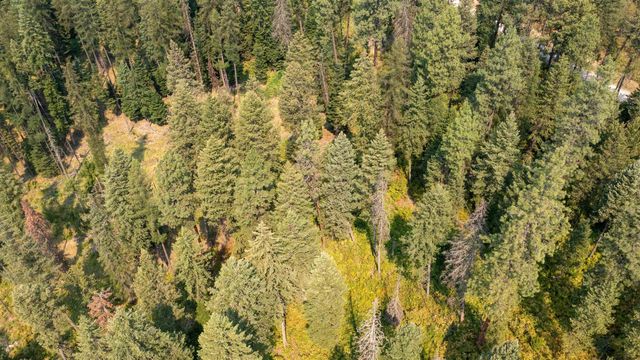 NKA Berry Rd, Usk, WA 99180