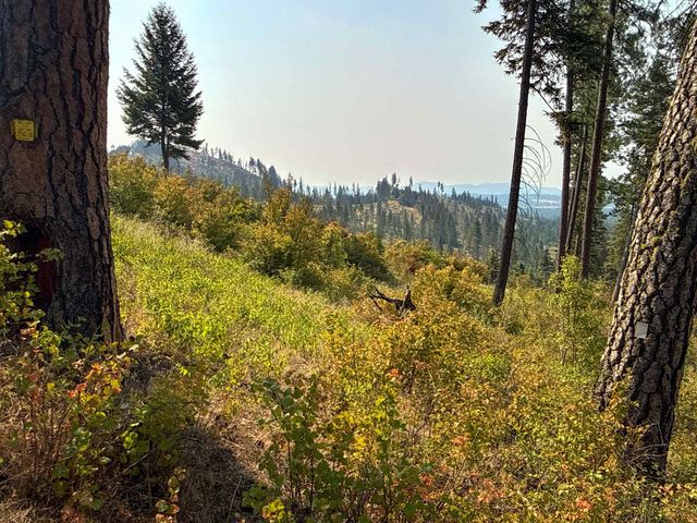 NKA Berry Rd, Usk, WA 99180