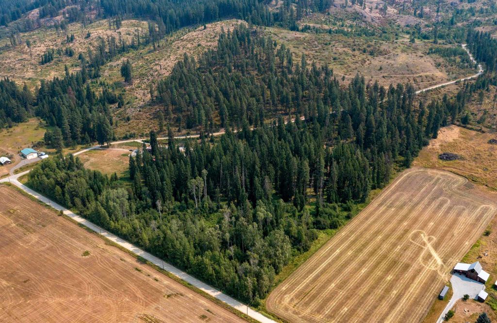 NKA Berry Rd, Usk, WA 99180 photo 1