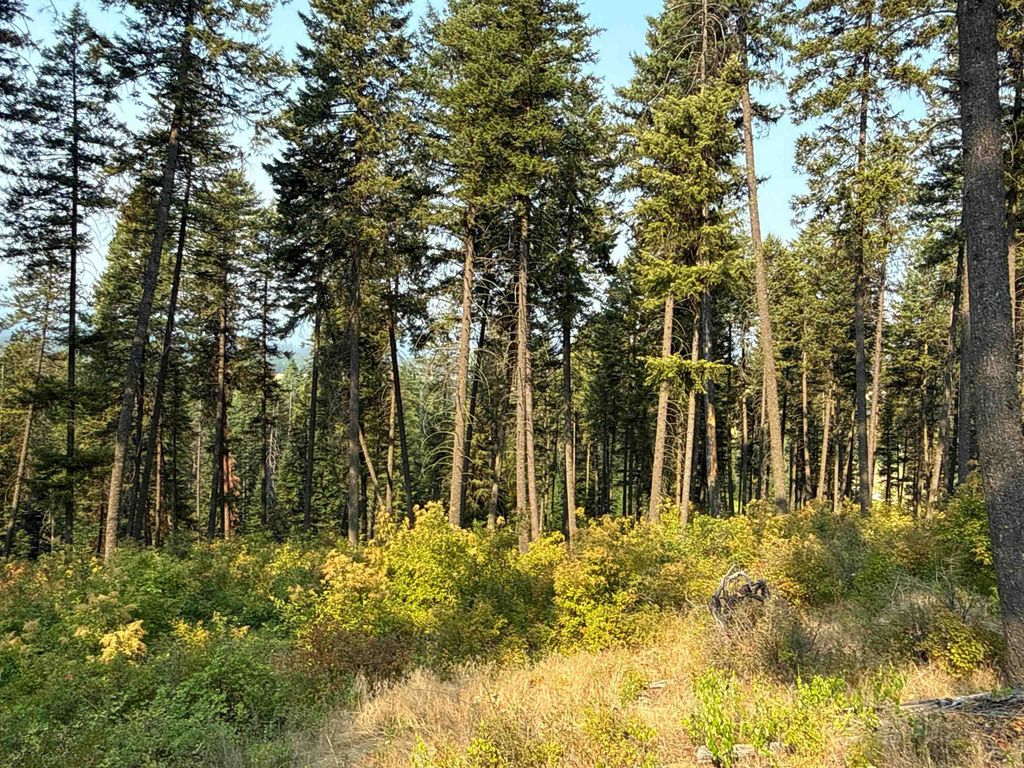 NKA Berry Rd, Usk, WA 99180 photo 2