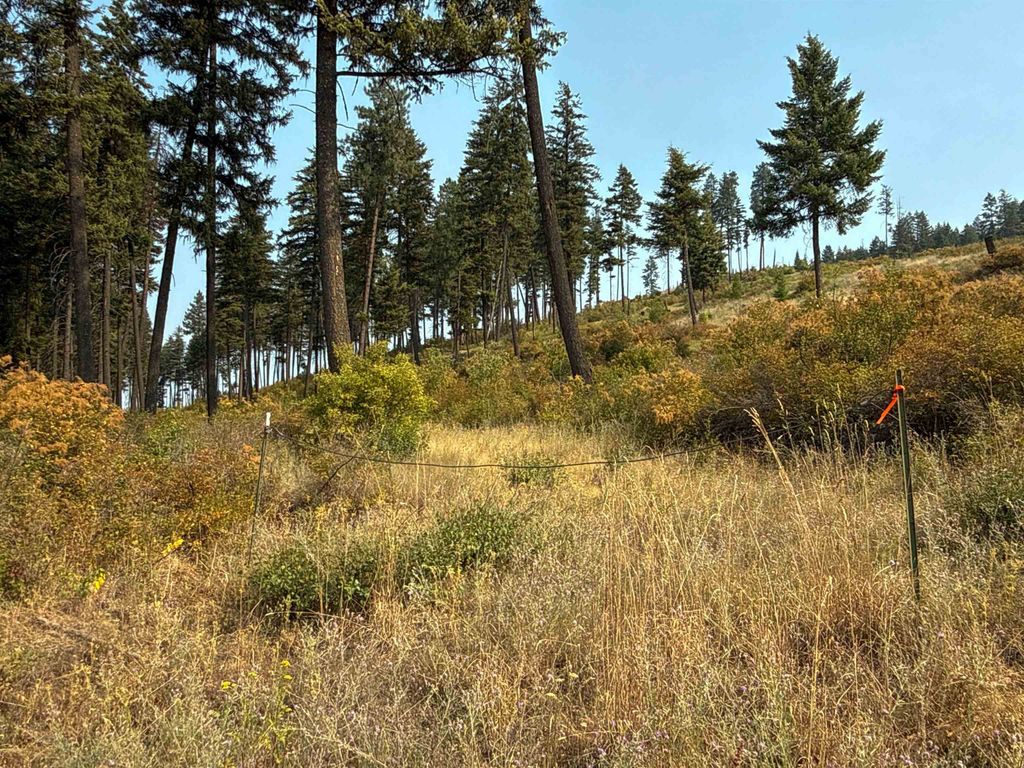 NKA Berry Rd, Usk, WA 99180 photo 3