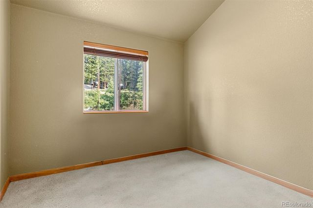 238 Prunes Place, Fairplay, CO 80440