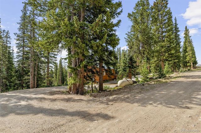 238 Prunes Place, Fairplay, CO 80440