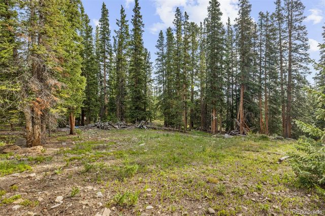238 Prunes Place, Fairplay, CO 80440