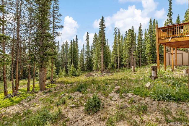 238 Prunes Place, Fairplay, CO 80440