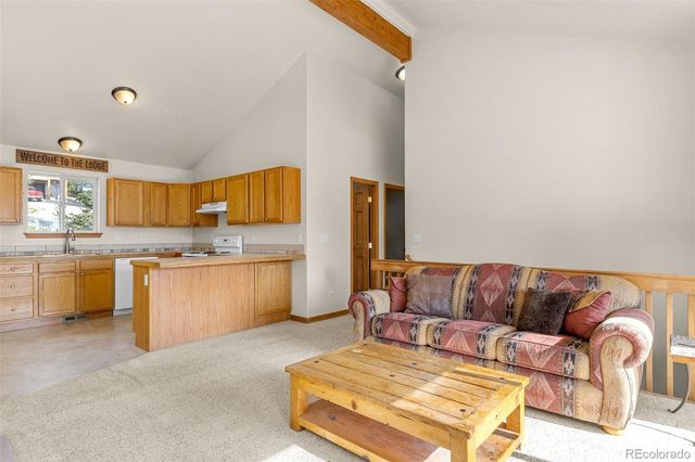 238 Prunes Place, Fairplay, CO 80440