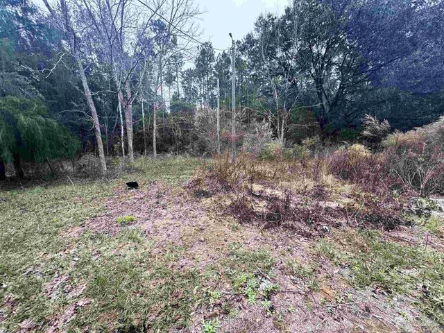 9985 Paws Rd, Milton, FL 32570