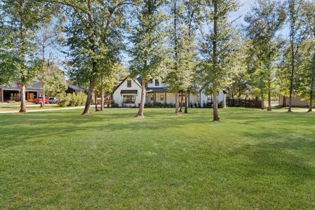 31 Quiet Springs Trail, Willis, TX 77378