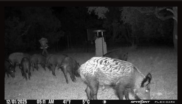 180 Bee Hive Rd SW, Hunt, TX 78024