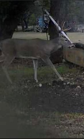 180 Bee Hive Rd SW, Hunt, TX 78024