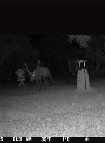 180 Bee Hive Rd SW, Hunt, TX 78024