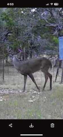 180 Bee Hive Rd SW, Hunt, TX 78024