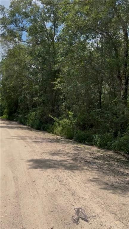 0 Leatherwood Drive, Theodore, AL 36582 — exterior