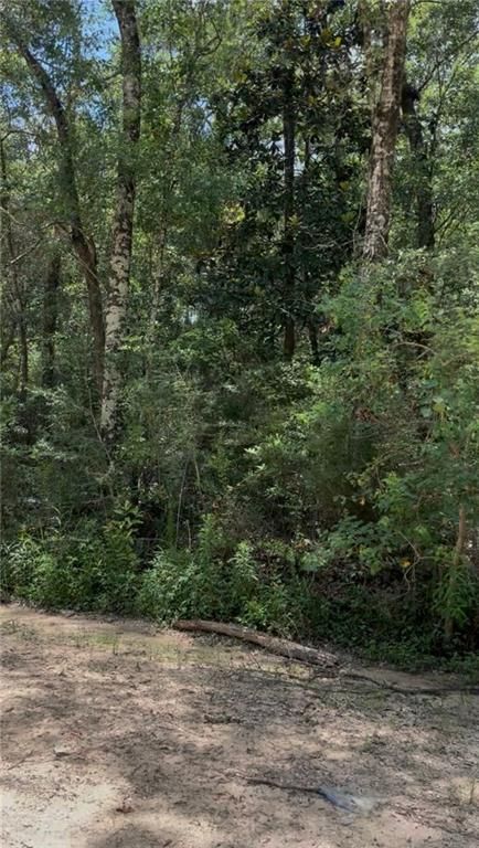 0 Leatherwood Drive, Theodore, AL 36582 — photo 2