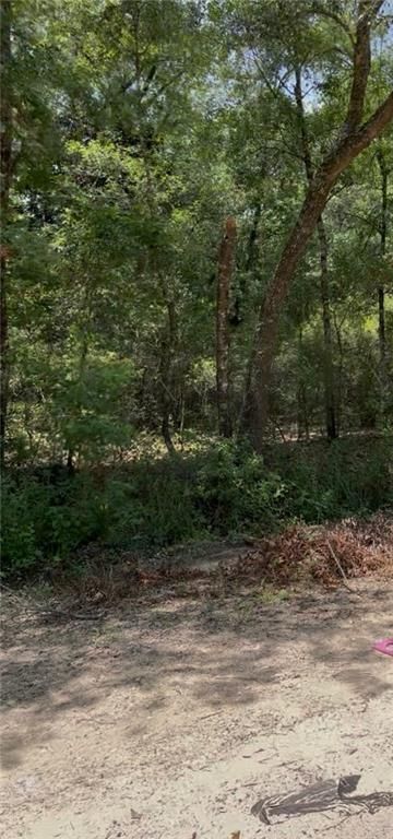 0 Leatherwood Drive, Theodore, AL 36582 — photo 3