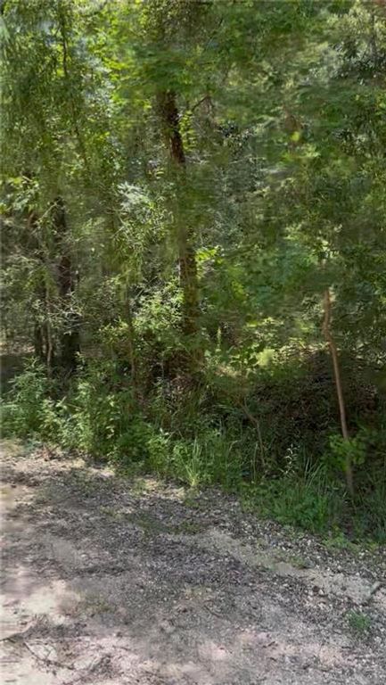 0 Leatherwood Drive, Theodore, AL 36582 — photo 5