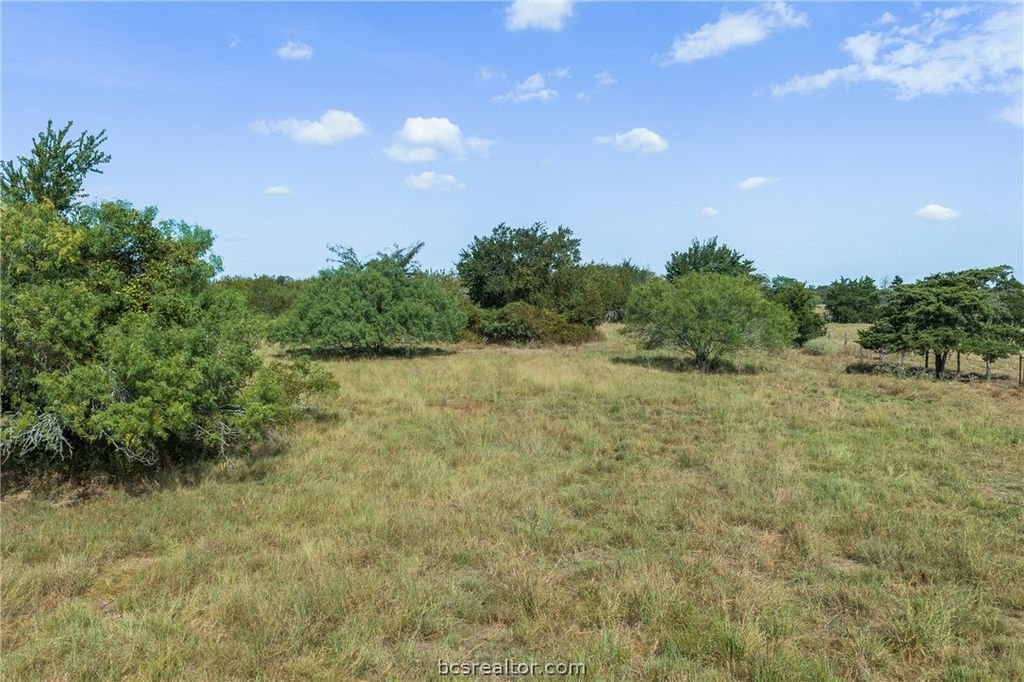 9625 East OSR, Hearne, TX 77859 — photo 4