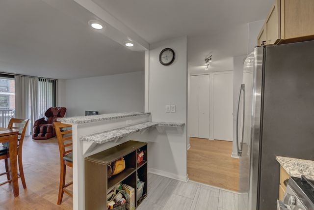 2941 S Michigan Avenue 305, Chicago, IL 60616