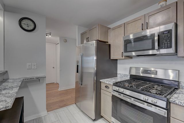 2941 S Michigan Avenue 305, Chicago, IL 60616