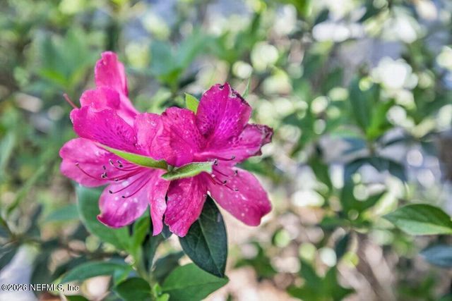 1664 FAIRWAY RIDGE Drive, Fleming Island, FL 32003