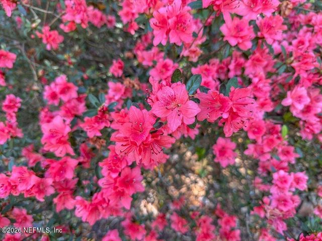 1664 FAIRWAY RIDGE Drive, Fleming Island, FL 32003