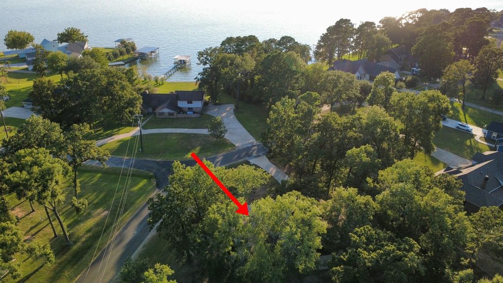 291 Buffalo Court, Livingston, TX 77351