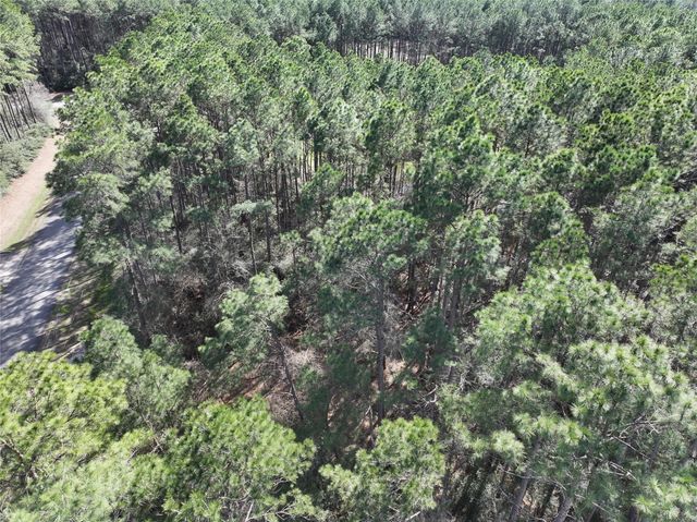 17424 Woodforest Dr, Waller, TX 77484